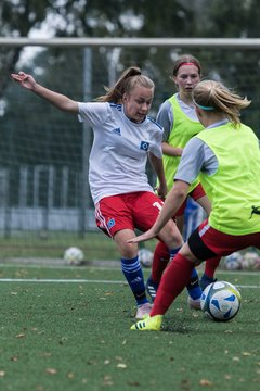 Bild 257 - C-Juniorinnen HSV - Walddoerfer : Ergebnis: 9:1